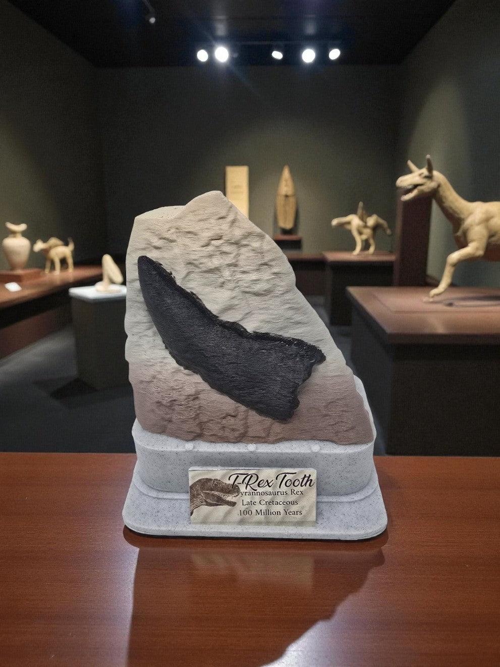 Prestige Fossil Collection – Full 6-Piece Museum Display Bundle | 3D Printed Fossil Replicas | Dinosaur & Prehistoric Life Exhibits