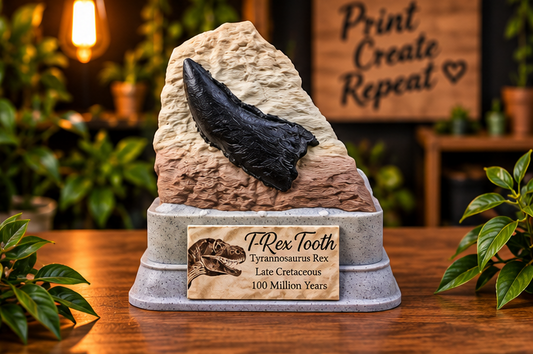 T-Rex Tooth Fossil Display